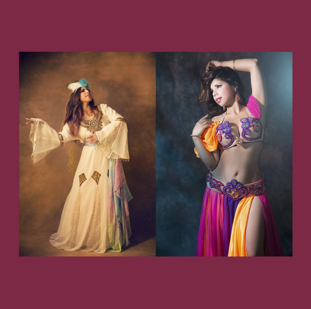 Lecture & Concert Vol.2<br/>Between Iran and Japan  — Persian Dance and Life