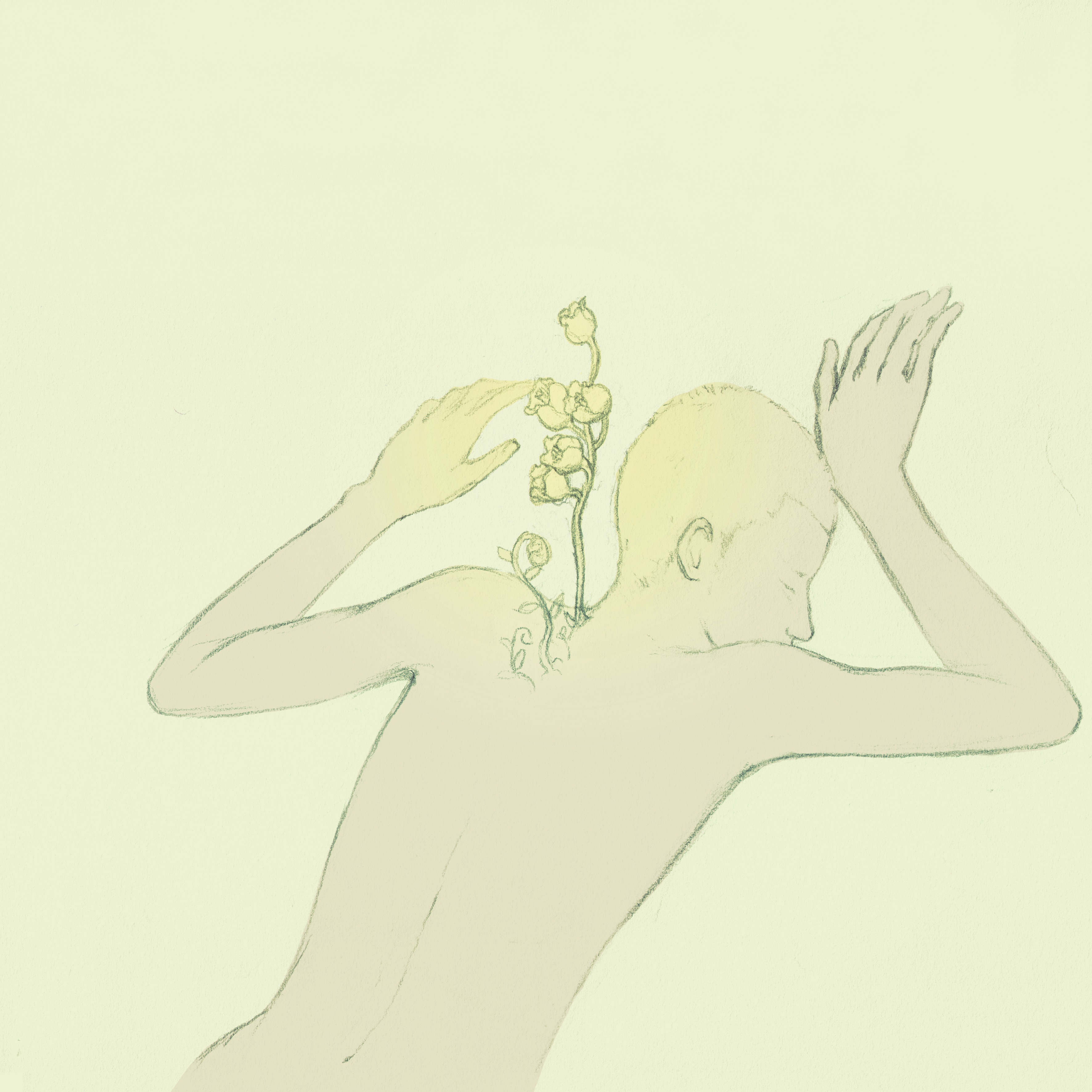 満天星 You May be My Lucky Star